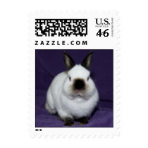 Black nosed Bunny Stamp