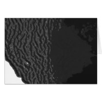 Black Ocean cards