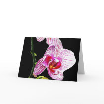 Black Orchid Card by ArtByLindaLou Black Orchid Card