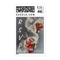 Black Orchid RSVP Postage postage