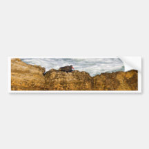Black Oystercatcher Bumper Stickers