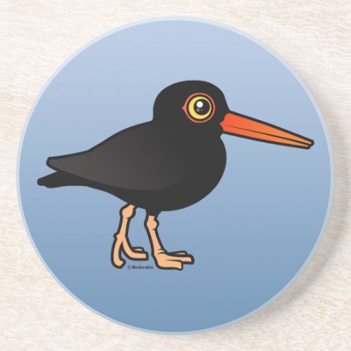 Black Oystercatcher Drink Coasters