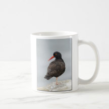 Black Oystercatcher Mug