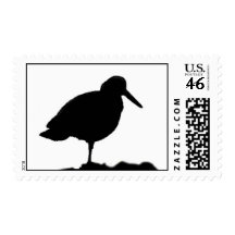 Black Oystercatcher stamp