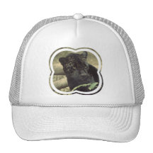 Black Panther Baseball Hat