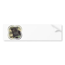 Black Panther Bumper Stickers