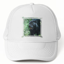 Black Panther Cat  Baseball Hat