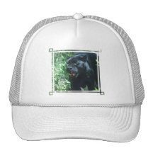 Black Panther Cat  Baseball Hat