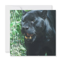 Black Panther Cat Invitation