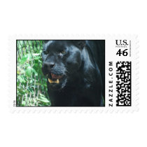 Black Panther Cat Postage Stamp