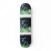 Black Panther Cat Skateboard