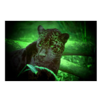 Black Panther Jaguar posters