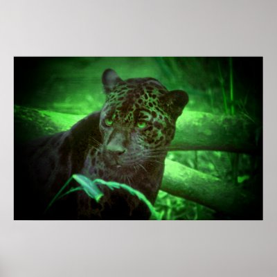 Black Panther Jaguar Posters by deleas