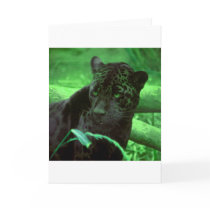 Black Panther Jaquar on Green Cards