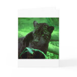 Black Panther Jaquar on Green cards