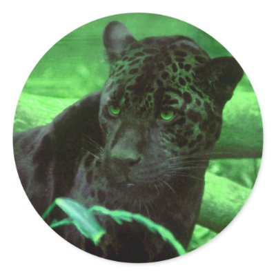 Black Panther Jaquar on Green Stickers by deleas
