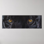 Black panther leopard eyes posters