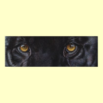 Black panther leopard eyes posters