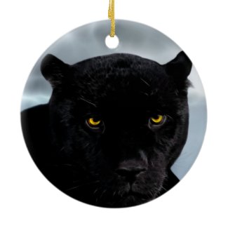 Black Panther Panthera