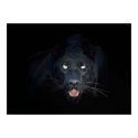 Black panther poster posters