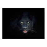 Black panther poster