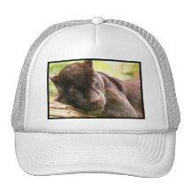 Black Panther Sleeping Baseball Hat