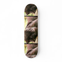 Black Panther Sleeping Skateboard