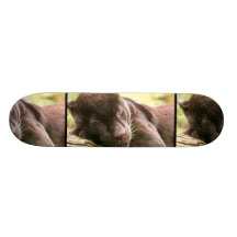 Black Panther Sleeping Skateboard