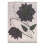 Black Passion Greeting Cards Black Passion Greeting Cards