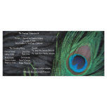 Black Peacock Velvet Background Wedding Program Custom Rack Cards
