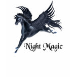 Black Pegasus