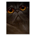 BLACK PERSIAN CAT ANY OCCASION Card by BY_CYRA BLACK PERSIAN CAT ANY OCCASION Card