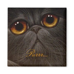 BLACK PERSIAN CAT Magnet magnet