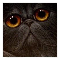 BLACK PERSIAN CAT Poster posters by BY_CYRA BLACK PERSIAN CAT Poster posters