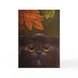 BLACK PERSIAN CAT - THANKSGIVING Card