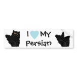 Black Persian Cat w/ Orange Eyes Bumper Sticker