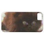 Black persian kitten iPhone 5 cover