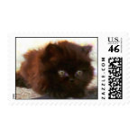 Black Persian Kitten postage