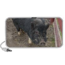 Black Pig Photo Doodle Speaker