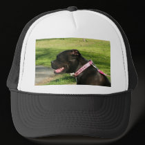 Black Pit Bull cap hats