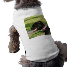 Black Pit Bull Dog Shirt