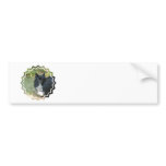 Black Pomeranian  Bumper Stickers