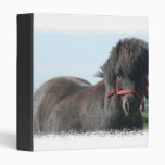 Black Pony  Binder