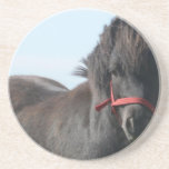 Black Pony  Coaster