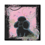 Black Poodle Hummingbirds Art Magnet