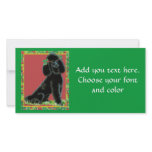 Black Poodle n Holly Christmas Holiday Photo Card