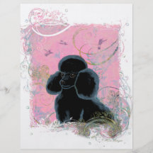 Black Poodle Portrait with Hummingbirds Flyers