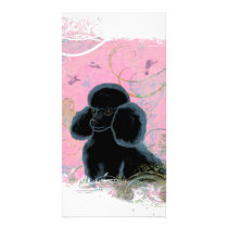 Black Poodle Portrait with Hummingbirds Photo Card