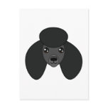 Black Poodle Postcard