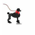 Black Poodle T-shirt shirt